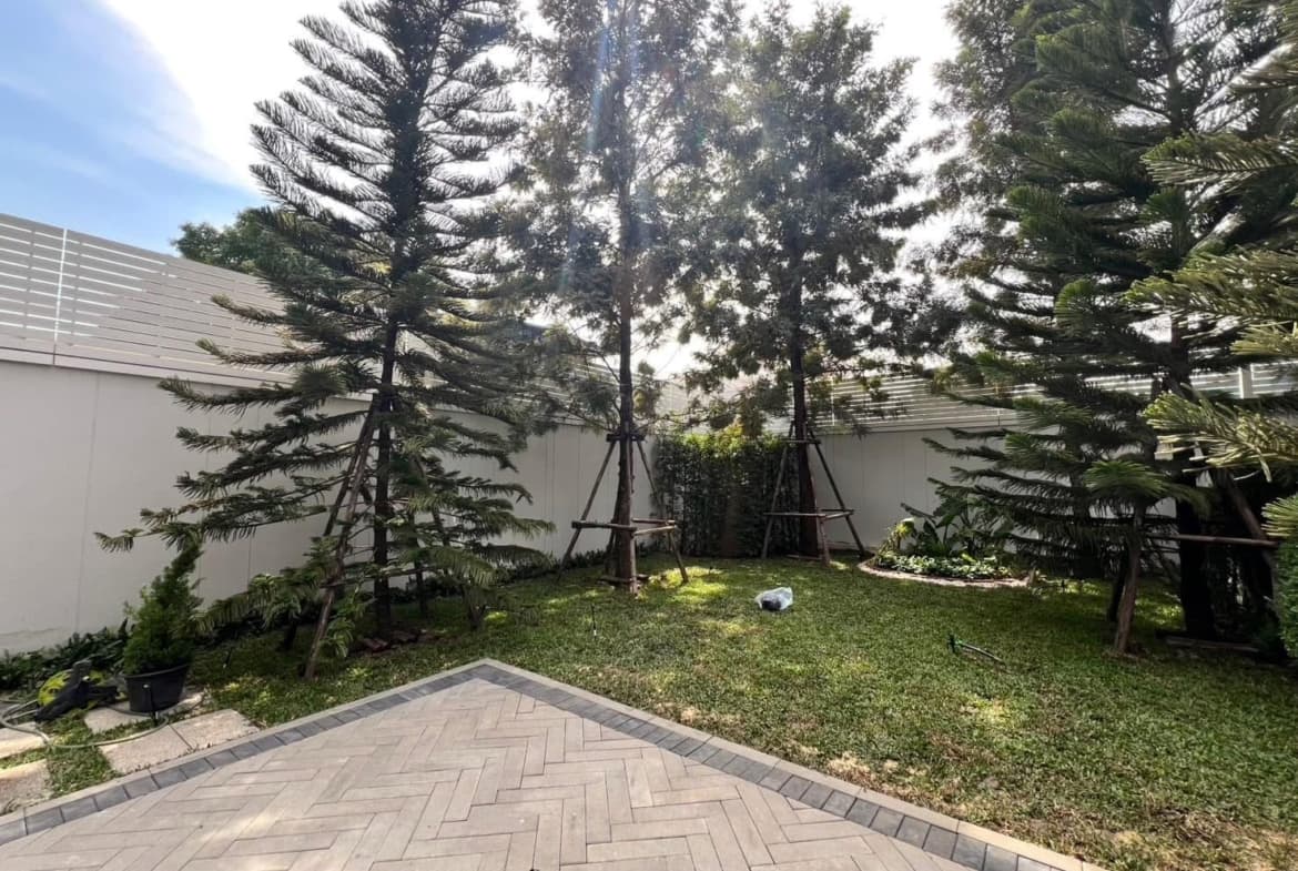 Newly Built Modern House for Rent in Sukhumvit