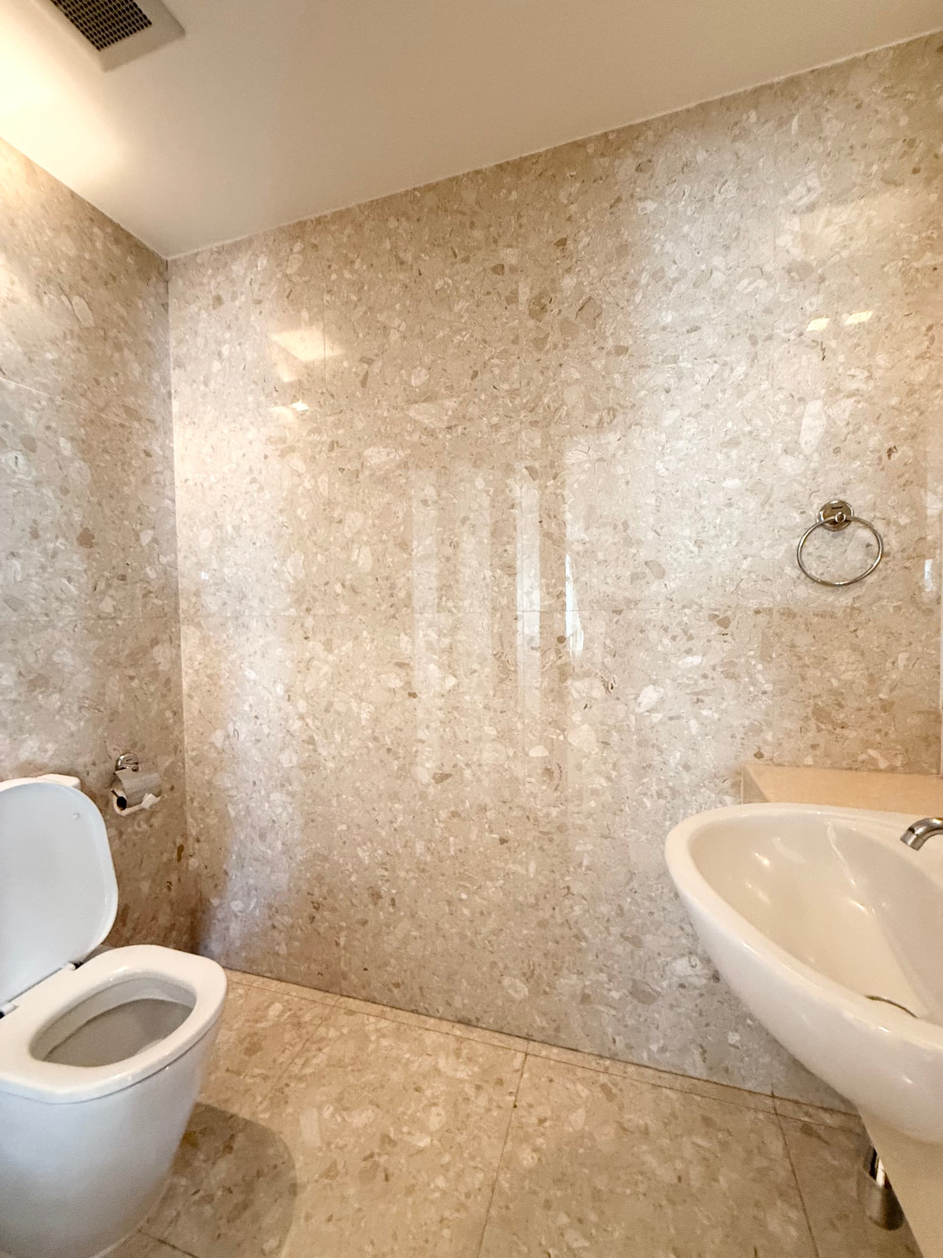 Luxury Apartment in Sukhumvit 31