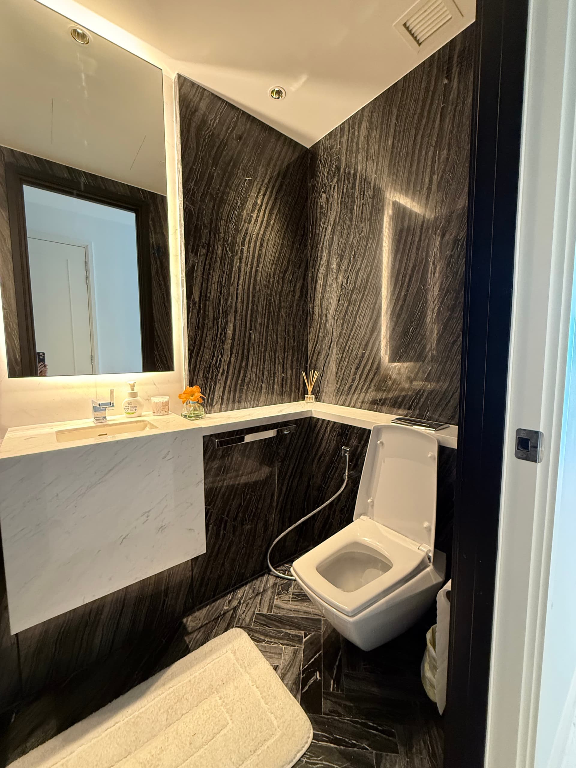 Four Seasons Private Residences 
